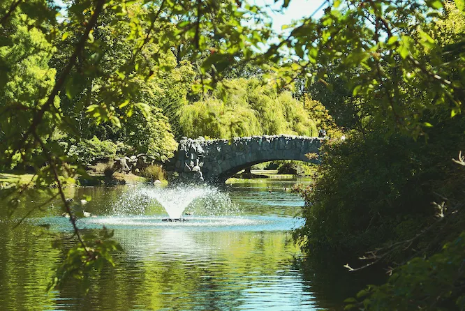 Image of Scenic Bridge Overlooking a Peaceful Pond at Beacon Hill Park, Fernwood